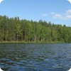 Рыбное место в Лужском районе Ленинградской области